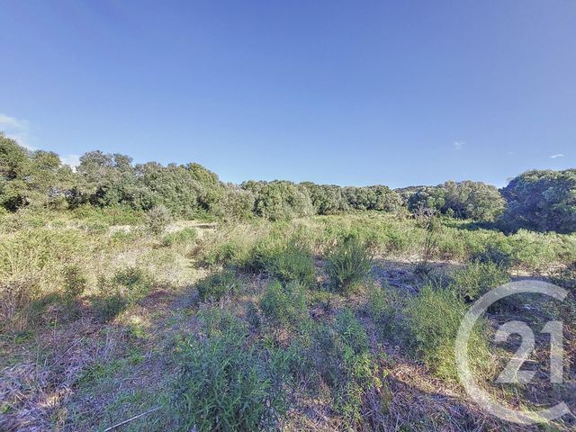 terrain à vendre - 12588.0 m2 - FIGARI - 201 - CORSE - Century 21 Demeures Conseils