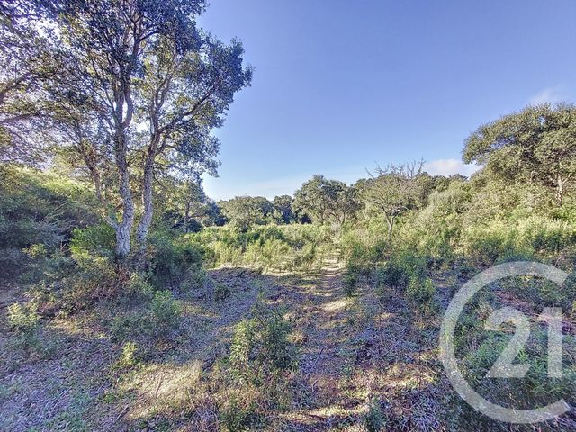 terrain à vendre - 12588.0 m2 - FIGARI - 201 - CORSE - Century 21 Demeures Conseils