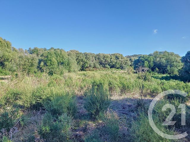 terrain à vendre - 12588.0 m2 - FIGARI - 201 - CORSE - Century 21 Demeures Conseils