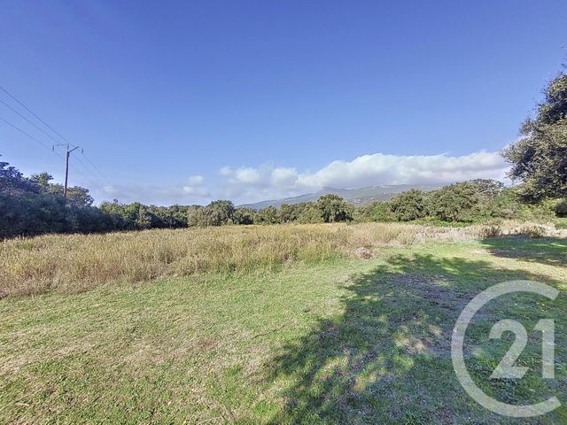 terrain à vendre - 12588.0 m2 - FIGARI - 201 - CORSE - Century 21 Demeures Conseils