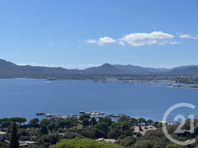 maison - PORTO VECCHIO - 201