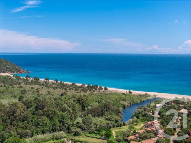 maison à vendre - 5 pièces - 140.0 m2 - ZONZA - 201 - CORSE - Century 21 Demeures Conseils