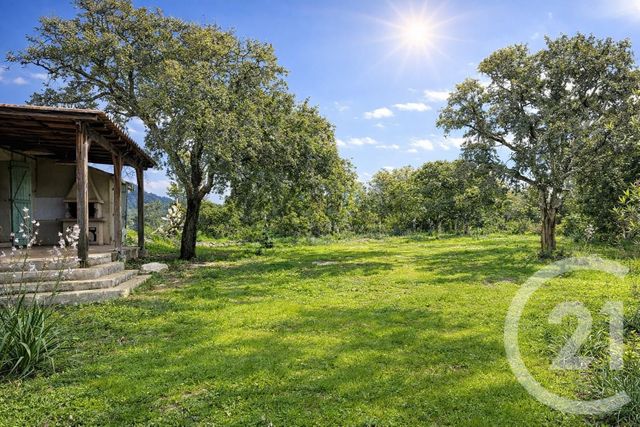 maison - ZONZA - 201