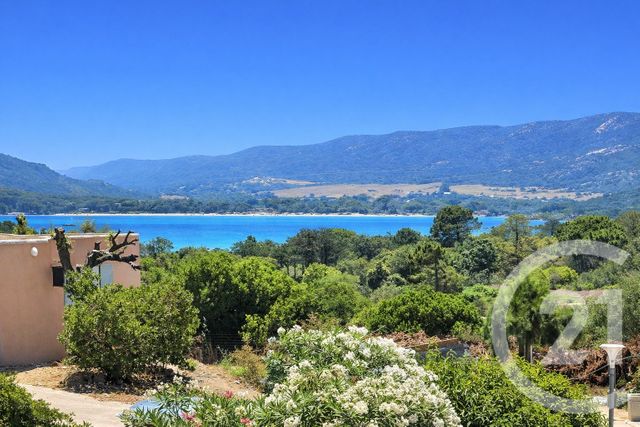 maison - PORTO VECCHIO - 201