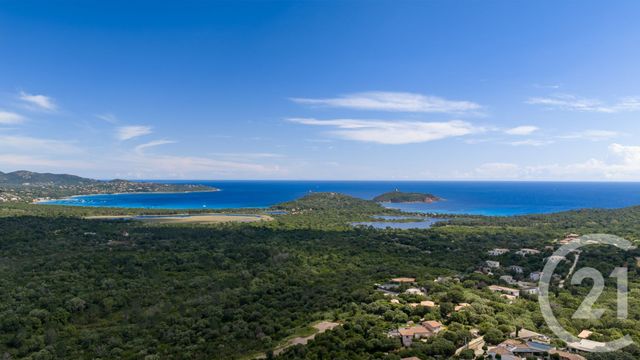 maison à vendre - 8 pièces - 200.0 m2 - ZONZA - 201 - CORSE - Century 21 Demeures Conseils