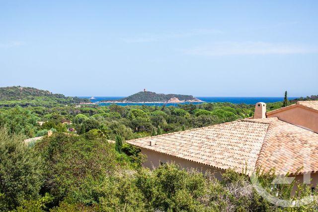 maison à vendre - 7 pièces - 247.0 m2 - ZONZA - 201 - CORSE - Century 21 Demeures Conseils
