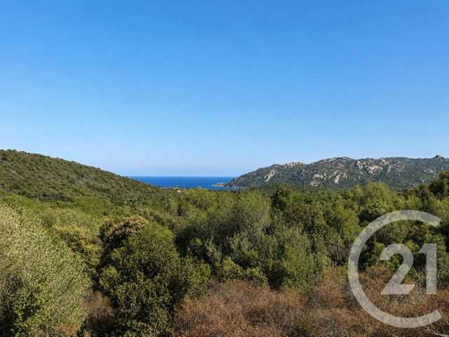 Terrain à vendre PORTO VECCHIO
