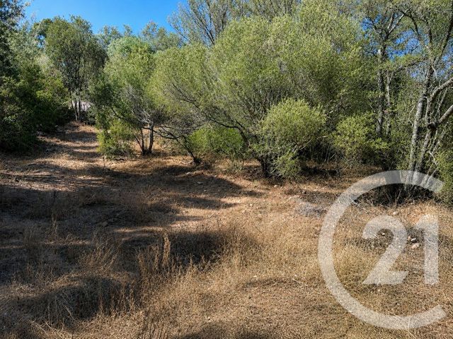 terrain à vendre - 1440.0 m2 - PORTO VECCHIO - 201 - CORSE - Century 21 Demeures Conseils