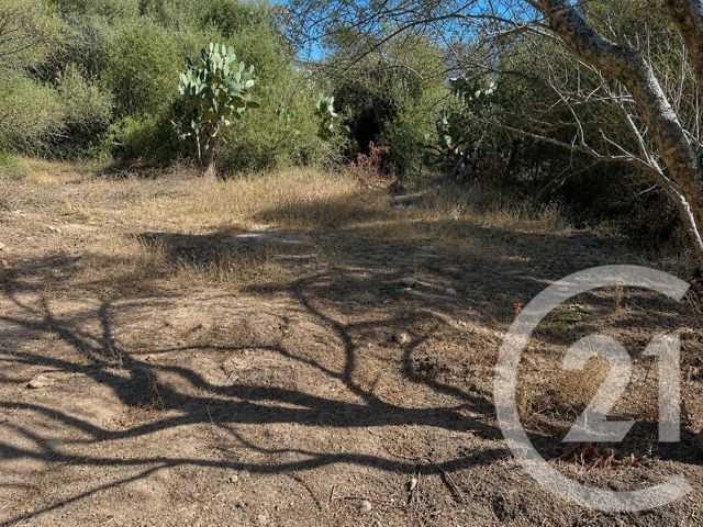 terrain à vendre - 1440.0 m2 - PORTO VECCHIO - 201 - CORSE - Century 21 Demeures Conseils