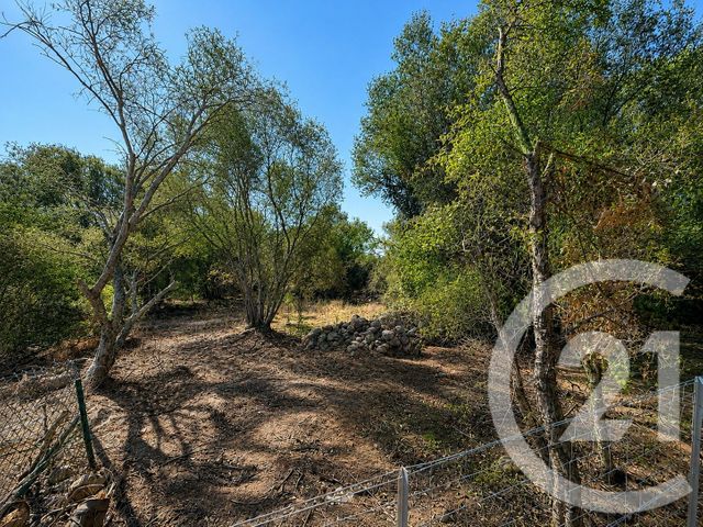 terrain à vendre - 1440.0 m2 - PORTO VECCHIO - 201 - CORSE - Century 21 Demeures Conseils