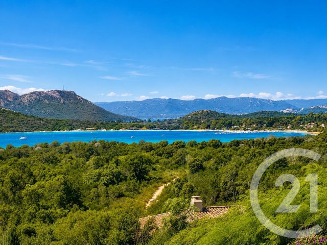 maison à vendre - 5 pièces - 143.0 m2 - ZONZA - 201 - CORSE - Century 21 Demeures Conseils