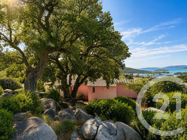 maison à vendre - 5 pièces - 143.0 m2 - ZONZA - 201 - CORSE - Century 21 Demeures Conseils