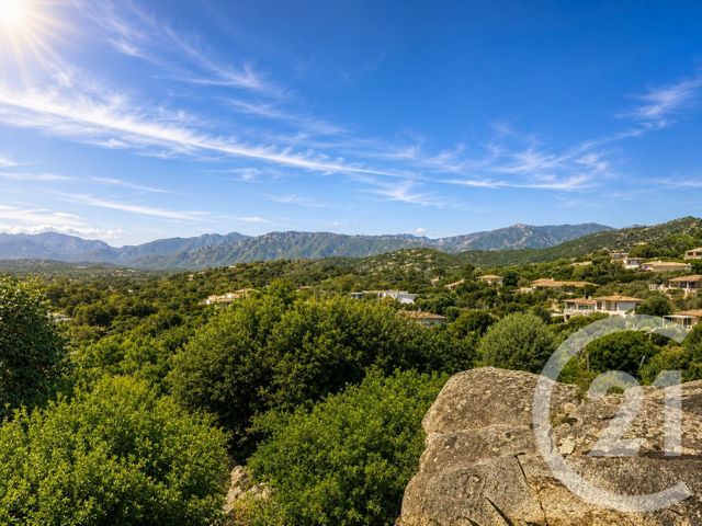 maison à vendre - 5 pièces - 143.0 m2 - ZONZA - 201 - CORSE - Century 21 Demeures Conseils