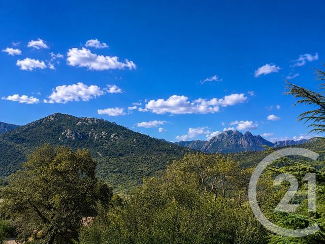terrain à vendre - 2000.0 m2 - ZONZA - 201 - CORSE - Century 21 Demeures Conseils