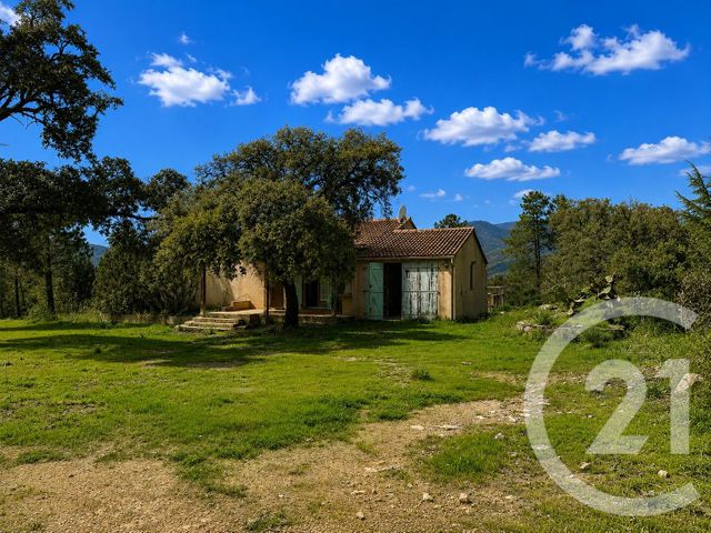 terrain à vendre - 3640.0 m2 - ZONZA - 201 - CORSE - Century 21 Demeures Conseils
