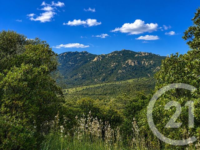 terrain à vendre - 3640.0 m2 - ZONZA - 201 - CORSE - Century 21 Demeures Conseils