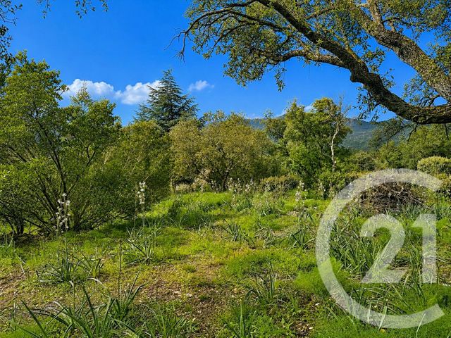 terrain à vendre - 3640.0 m2 - ZONZA - 201 - CORSE - Century 21 Demeures Conseils