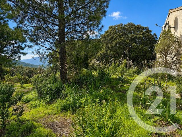 terrain à vendre - 3640.0 m2 - ZONZA - 201 - CORSE - Century 21 Demeures Conseils