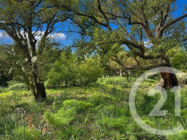 terrain à vendre - 3640.0 m2 - ZONZA - 201 - CORSE - Century 21 Demeures Conseils
