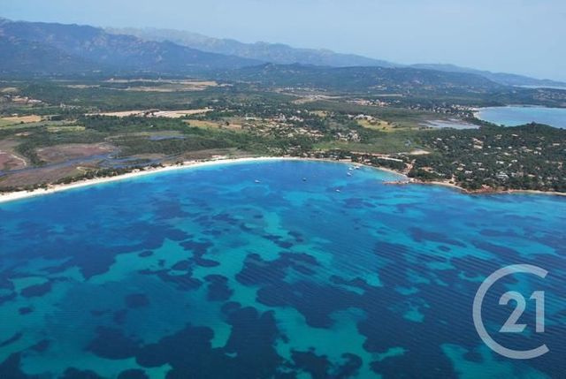 maison à louer - 3 pièces - 88.0 m2 - LECCI - 201 - CORSE - Century 21 Demeures Conseils