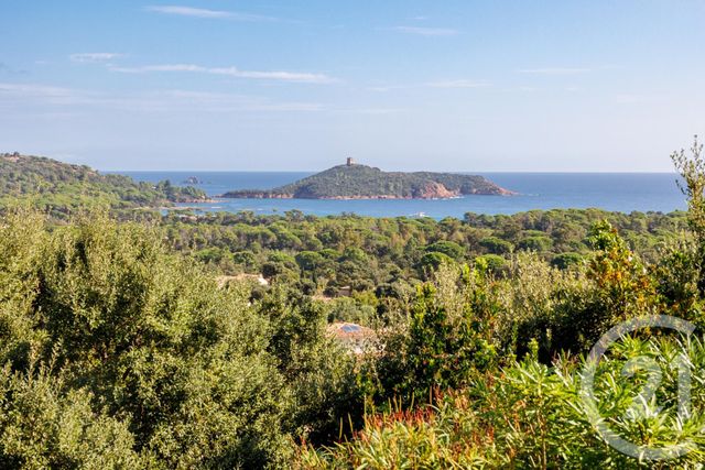 maison à louer - 5 pièces - 200.0 m2 - ZONZA - 201 - CORSE - Century 21 Demeures Conseils