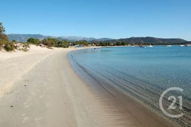 maison à louer - 4 pièces - 101.0 m2 - LECCI - 201 - CORSE - Century 21 Demeures Conseils