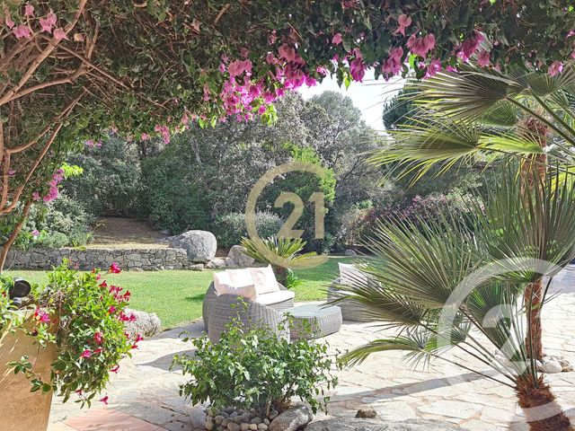 maison à louer - 4 pièces - 125.0 m2 - PORTO VECCHIO - 201 - CORSE - Century 21 Demeures Conseils