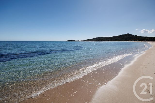 Afficher la photo en grand maison à louer - 5 pièces - 160.0 m2 - ZONZA - 201 - CORSE - Century 21 Demeures Conseils