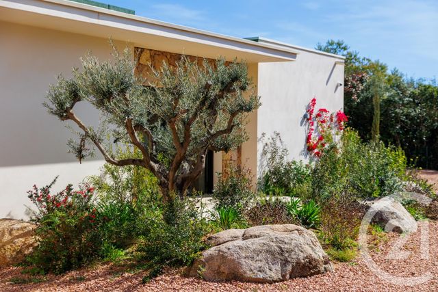 Afficher la photo en grand maison à louer - 5 pièces - 160.0 m2 - ZONZA - 201 - CORSE - Century 21 Demeures Conseils