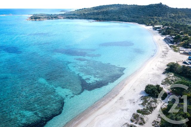 Afficher la photo en grand maison à louer - 5 pièces - 160.0 m2 - ZONZA - 201 - CORSE - Century 21 Demeures Conseils