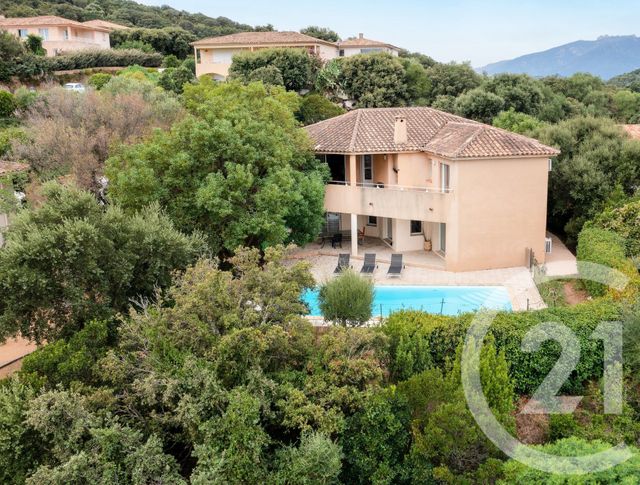 maison - PORTO VECCHIO - 201