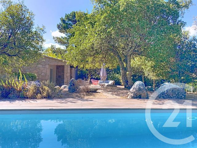 maison - PORTO VECCHIO - 201