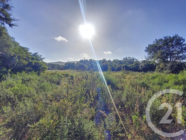 Afficher la photo en grand terrain à vendre - 12588.0 m2 - FIGARI - 201 - CORSE - Century 21 Demeures Conseils