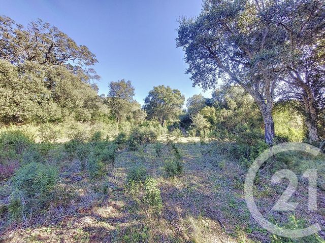 Afficher la photo en grand terrain à vendre - 12588.0 m2 - FIGARI - 201 - CORSE - Century 21 Demeures Conseils