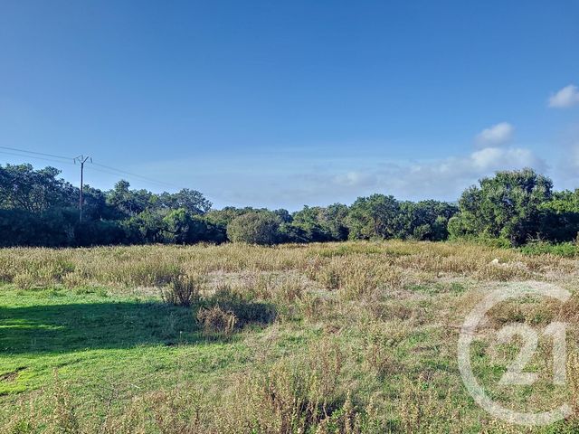 Afficher la photo en grand terrain à vendre - 12588.0 m2 - FIGARI - 201 - CORSE - Century 21 Demeures Conseils