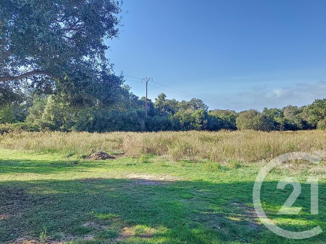 Afficher la photo en grand terrain à vendre - 12588.0 m2 - FIGARI - 201 - CORSE - Century 21 Demeures Conseils