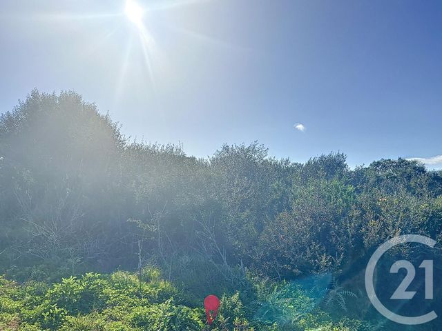 terrain à vendre - 875.0 m2 - PORTO VECCHIO - 201 - CORSE - Century 21 Demeures Conseils