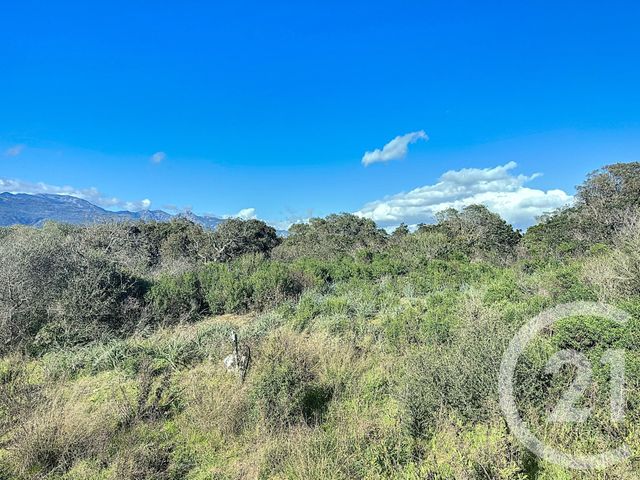 terrain à vendre - 875.0 m2 - PORTO VECCHIO - 201 - CORSE - Century 21 Demeures Conseils