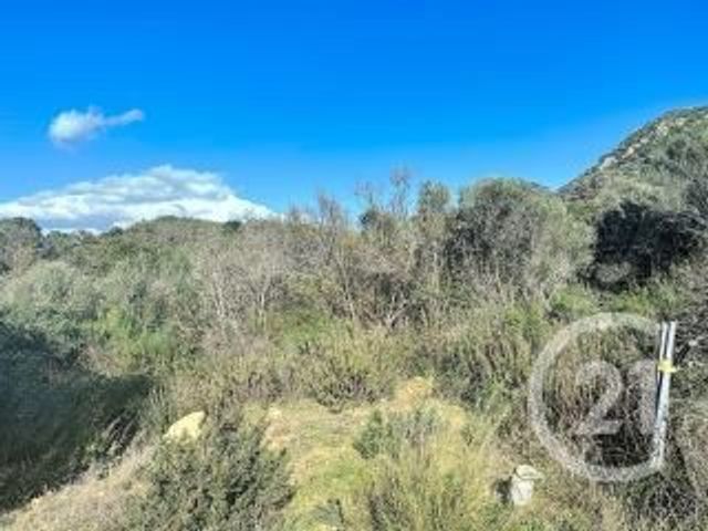 Afficher la photo en grand terrain à vendre - 875.0 m2 - PORTO VECCHIO - 201 - CORSE - Century 21 Demeures Conseils