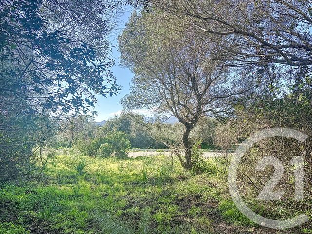 terrain à vendre - 875.0 m2 - PORTO VECCHIO - 201 - CORSE - Century 21 Demeures Conseils