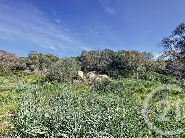 terrain - PORTO VECCHIO - 201