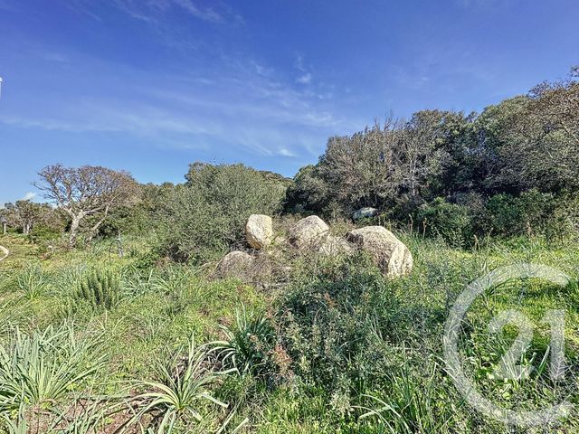 terrain à vendre - 697.0 m2 - PORTO VECCHIO - 201 - CORSE - Century 21 Demeures Conseils