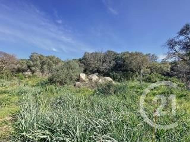 terrain à vendre - 899.0 m2 - PORTO VECCHIO - 201 - CORSE - Century 21 Demeures Conseils