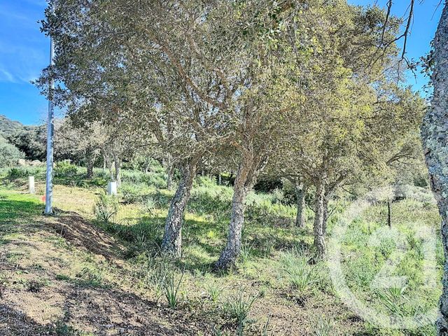 terrain - PORTO VECCHIO - 201