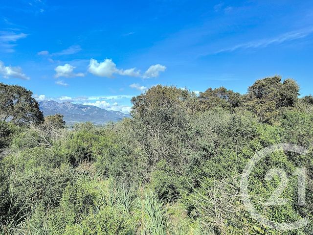 terrain à vendre - 764.0 m2 - PORTO VECCHIO - 201 - CORSE - Century 21 Demeures Conseils