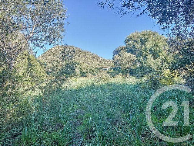 terrain à vendre - 838.0 m2 - PORTO VECCHIO - 201 - CORSE - Century 21 Demeures Conseils
