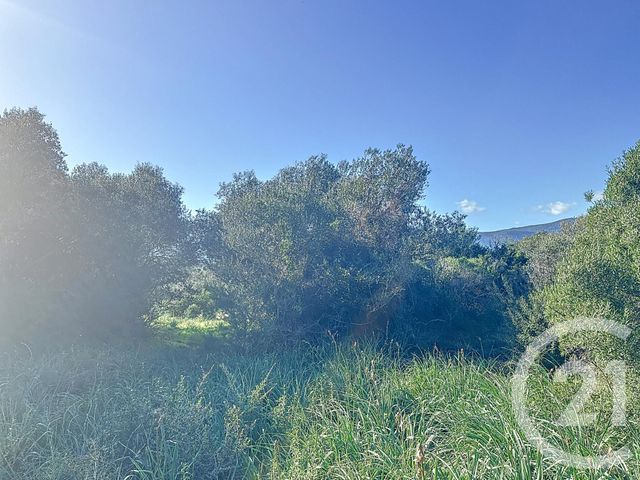 terrain à vendre - 827.0 m2 - PORTO VECCHIO - 201 - CORSE - Century 21 Demeures Conseils