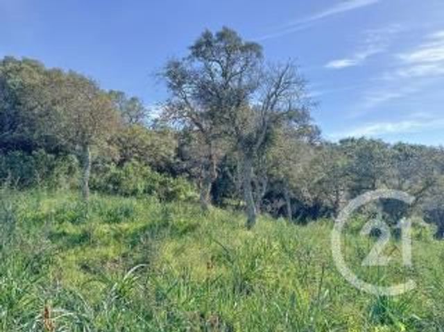terrain à vendre - 827.0 m2 - PORTO VECCHIO - 201 - CORSE - Century 21 Demeures Conseils