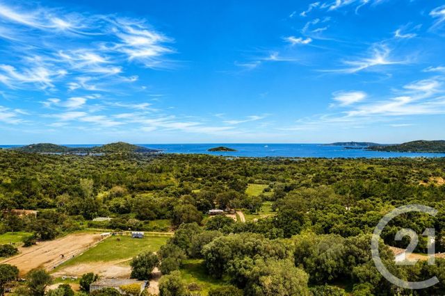 maison à vendre - 4 pièces - 95.07 m2 - ZONZA - 201 - CORSE - Century 21 Demeures Conseils