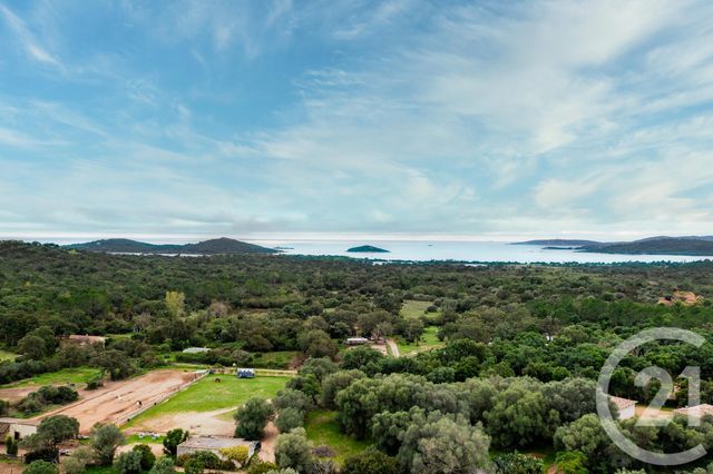 Maison à vendre ZONZA